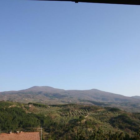 Terre D'Orcia Seggiano Exterior foto